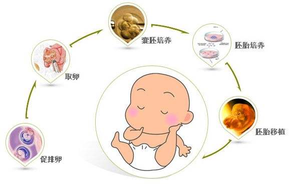 育儿知识每日一条 育儿知识每日一条文案怎么写